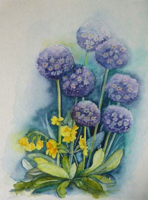 Frühblüher 30x40