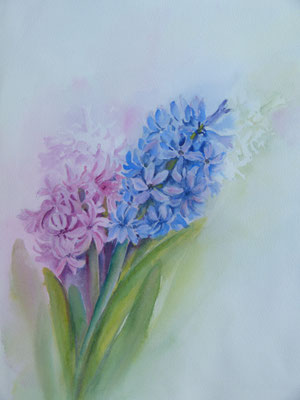 Hyazinthen 30x40