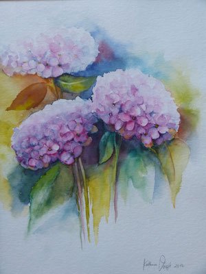 Hortensien 30x40