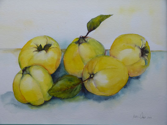 Quitten 30x40