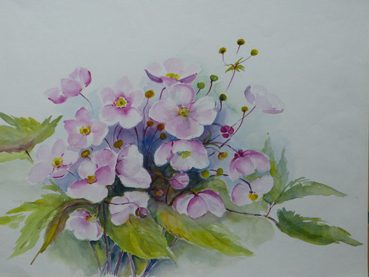 Herbstanemonen 40x50