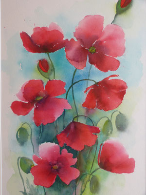 Mohn 40x60