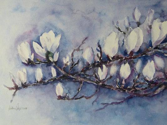 Weiße Magnolien 40x50