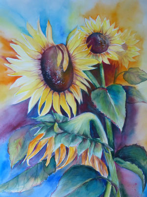 Sonnenblumen 50x70