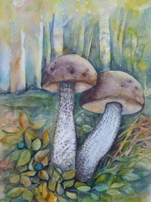 Birkenpilze 30x40