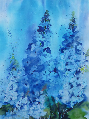 Rittersporn 40x50