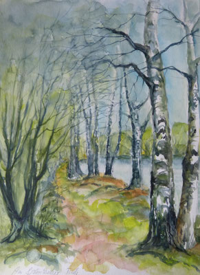 Am Bobritzscher Teich 40x50
