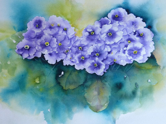 Topfprimel 40x50