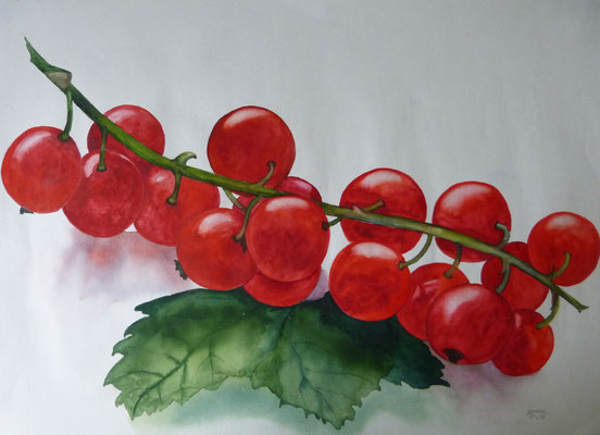 Johannisbeertraube 50x70