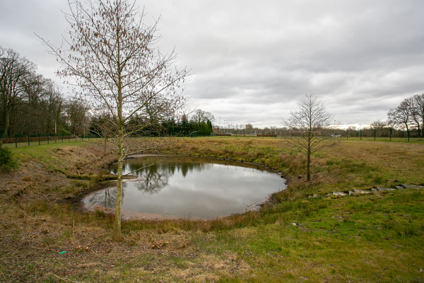 Regenrückhaltebecken
