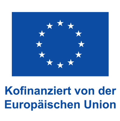 Europäische Flagge