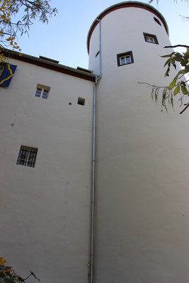 Fassadenanstrich 2012 mit Reinsilikatfarbe