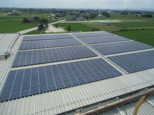 本社屋根には太陽光パネルを設置