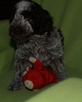 Aella hatte heute keine Lust zum Stillsitzen! :-)