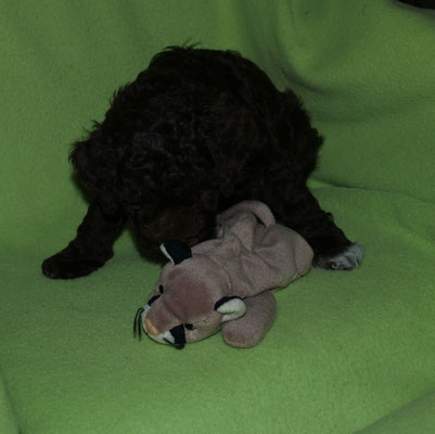 Anella war wie immer lieb :-)