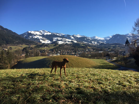 Urlaub in Kitzbühel