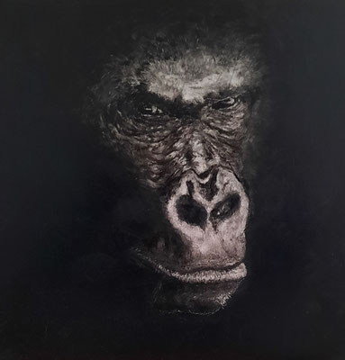 Gorille, peinture à l'huile, 40x40cm