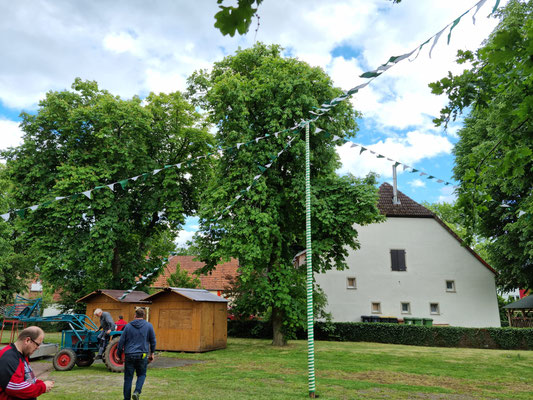 Der zentrale Schmuckbaum.