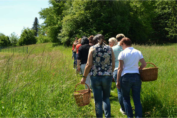 Kräuterwanderung