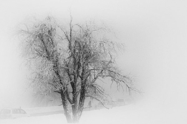 Einsamkeit im Winter