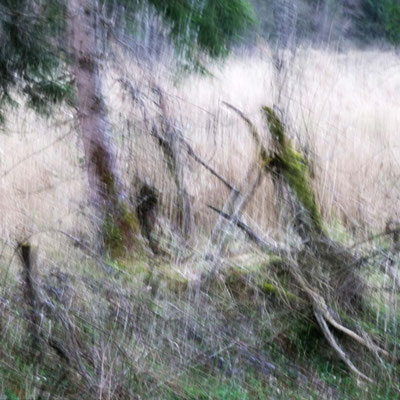 Natur pur