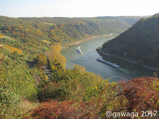 der Rhein von oben