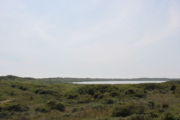 Hammersee