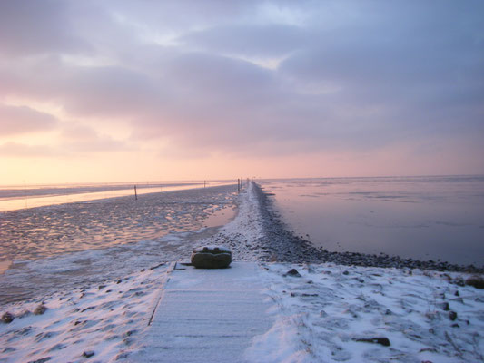 Wintersparziergang auf dem Deich 