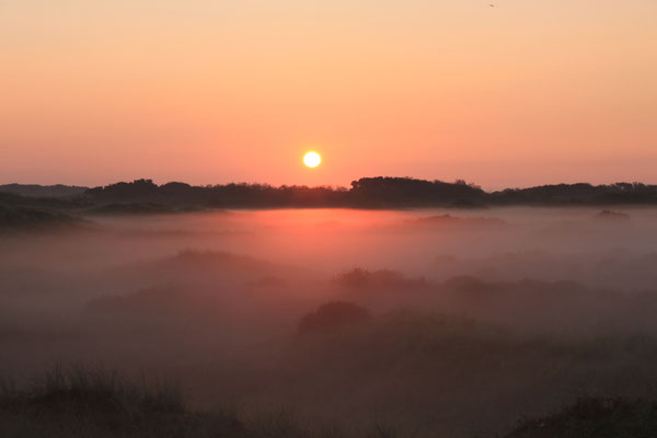 Septembernebel 