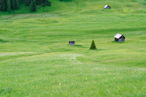 Plätzwiese