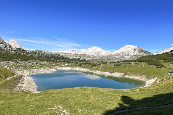 Limosee