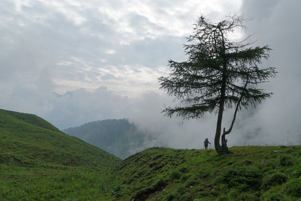 im Nebel