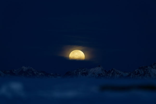 Vollmond am 08.11.2022 (Lutterkopf)