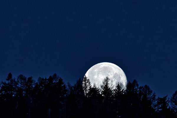 Vollmond am 08.02.2022 (Oberrasen)