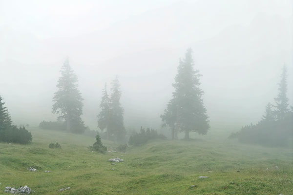 Nebelstimmung