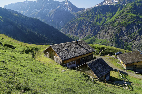 Überlütalpe