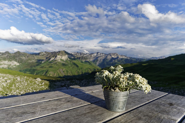 ... schöne Aussicht