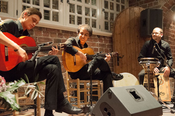 Bino Dola Trio, live in Buxtehude im Februar 2014
