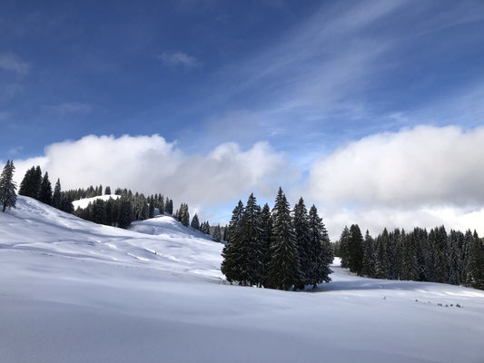 Die wunderschöne Winterlandschaft rund um unseren Berggasthof bietet viele schöne Plätze zum Reflektieren der Übungen aus dem Seminarraum