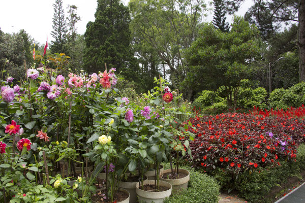 Da Lat - Trúc Lâm kloostertuin
