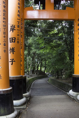 Kyoto - Inari