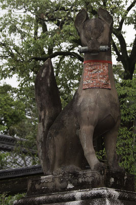 Kyoto - Inari
