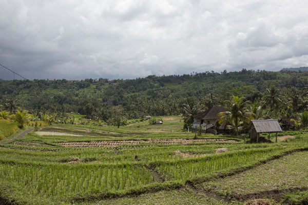 Landschap