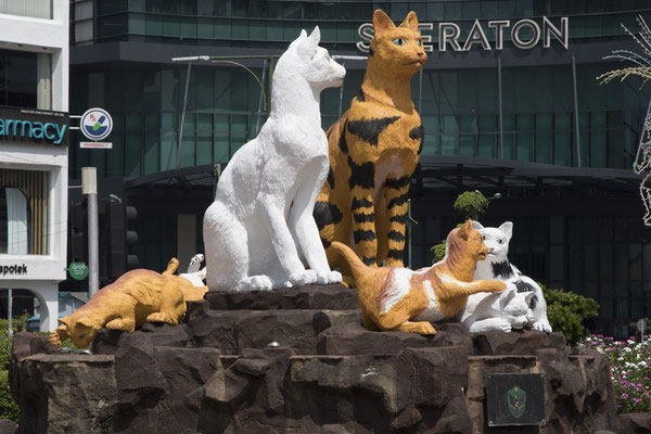 Kuching - katten