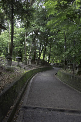 Kyoto - Inari