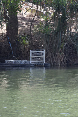 Nitmiluk - krokodilval