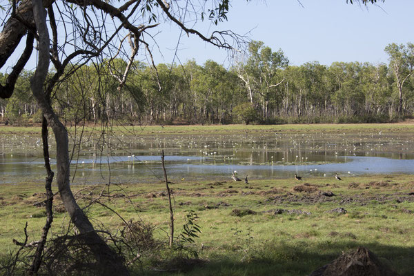 Anbangbang - landschap