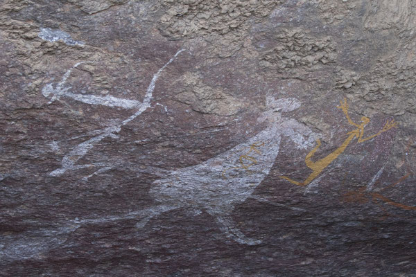 Nourangi - rotstekening