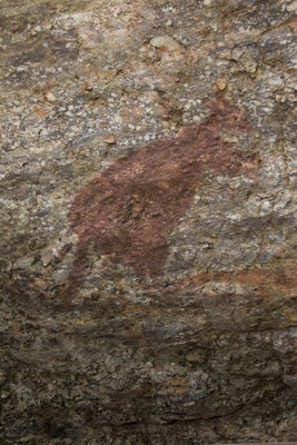 Nourangi - rotstekening