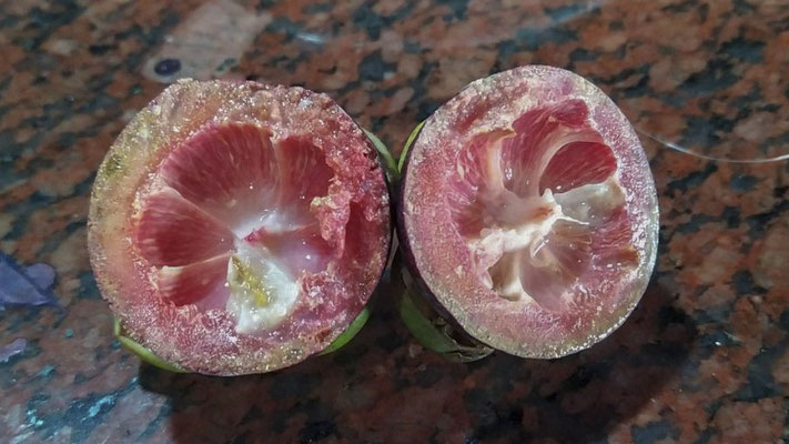 Mangosteen geegeten onderweg naar HCMC